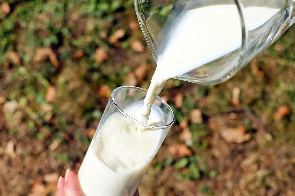 Cosa sapere su Bar di frullati e succhi